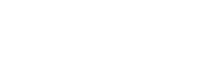 brightfin