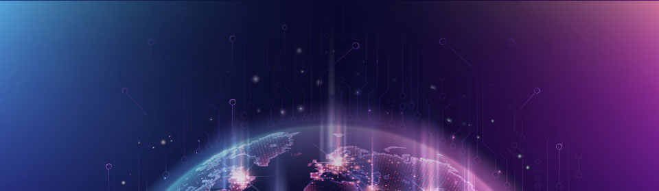 world IT data expenses